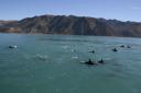 Tegen de mooie bergachtergrond van kaikoura